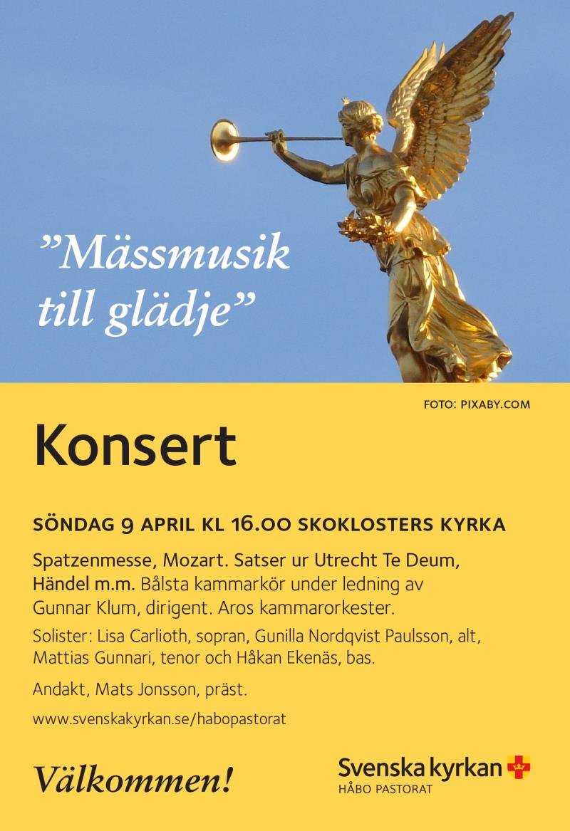 Missa inte konserten på söndag!